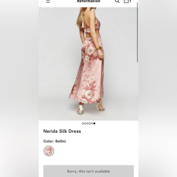 Nerdia Silk Dress - Picture 5 of 6